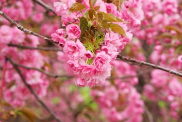 南京雨花台区8线下个人借款平台一站式服务，轻松解决资金难题