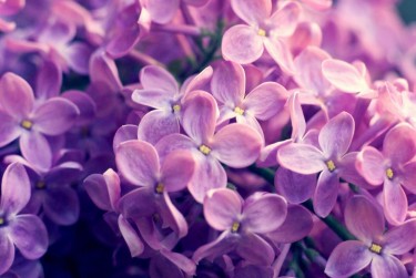 南京雨花台区8企业急用钱贷款攻略：快速融资解燃眉之急